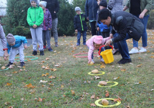 Święto pieczonego ziemniaka 14
