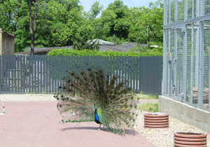 Wycieczka do ZOO 1