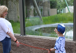 Wycieczka do ZOO 12