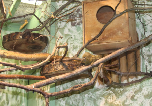 Wycieczka do ZOO 24