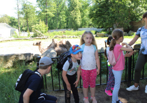 Wycieczka do łódzkiego zoo