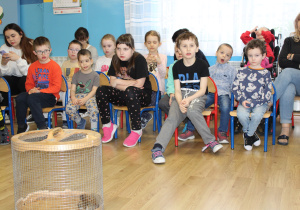 Odlotowe pokazy - Jeż i wiewiórka