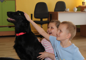 Zajęcia dogoterapii