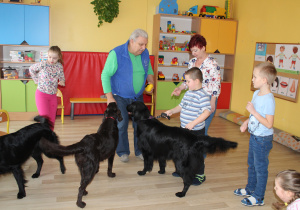 Zajęcia dogoterapii