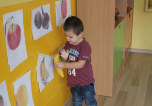 Tydzień higieny - na zdjęciu Antoś dopasowuje owoce do obrazków