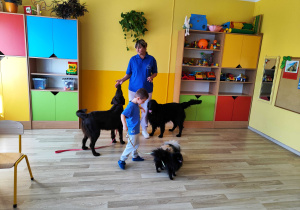 Zajęcia z dogoterapii - Wiktor prowadzi pieski na smyczy