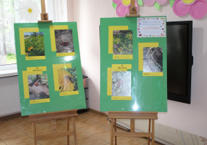 Konkurs Fotograficzny w Publicznym Przedszkolu Nr 6 w Radomsku