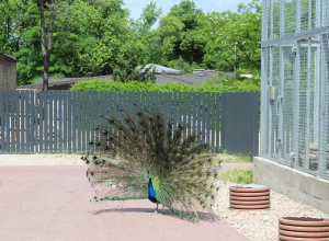 Wycieczka do łódzkiego ZOO