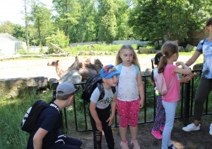 Wycieczka do łódzkiego zoo