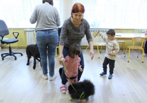 Spacery z pieskami w czasie zajęć dogoterapii