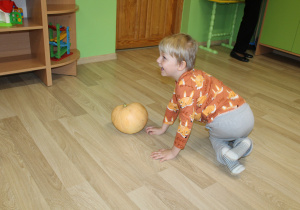 Dzień pomarańczowy - na zdjęciu Mikołaj podczas slalomu między dyniami