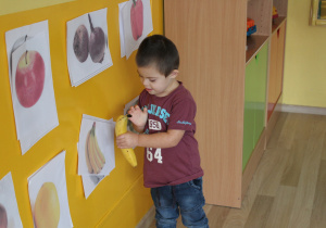 Tydzień higieny - na zdjęciu Antoś dopasowuje owoce do obrazków