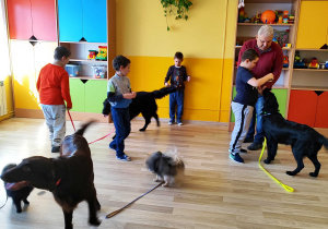 Zajęcia z dogoterapii - Chłopcy bawią się z psami