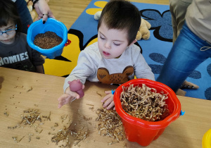 Antoś odnalazł misia w wiaderku z trocinami