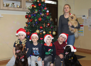 Świąteczne zajęcia z dogoterapii
