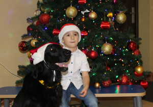 Świąteczne zajęcia z dogoterapii - na zdjęciu Wiktor