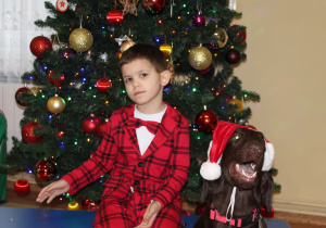 Świąteczne zajęcia z dogoterapii - na zdjęciu Mikołaj