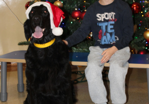 Świąteczne zajęcia z dogoterapii - na zdjęciu Michał