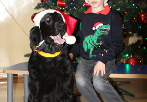 Świąteczne zajęcia z dogoterapii - na zdjęciu Kuba