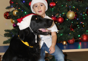 Świąteczne zajęcia z dogoterapii - na zdjęciu Wiktor