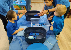 Dzień niebieski - dzieci z grupy IV segregują zabawki na miękkie i twarde.