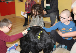 Dni otwarte - Dogoterapia