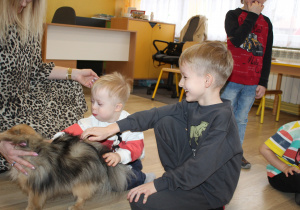 Dni otwarte - Dogoterapia