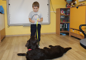 Dni otwarte - Dogoterapia