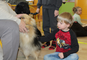 Dni otwarte - Dogoterapia