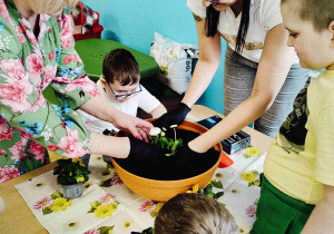 Dzieci z grupy 3 przesadzają kwiaty