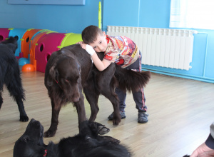 Kwietniowe zajęcia z dogoterapii