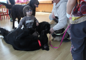 Kwietniowe zajęcia z dogoterapii - na zdjęciu Marysia i jej czworonożny przyjaciel