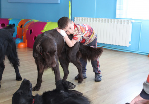 Kwietniowe zajęcia z dogoterapii - na zdjęciu Wiktor i jego przyjaciel na czterech łapach