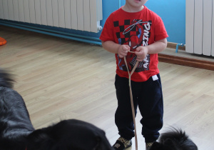 Kwietniowe zajęcia z dogoterapii - na zdjęciu Antoś i jego czworonożni przyjaciele