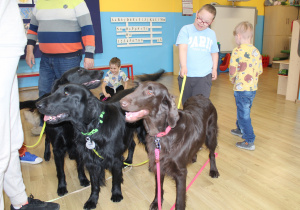 Kwietniowe zajęcia z dogoterapii - na zdjęciu Szymon z pieskami