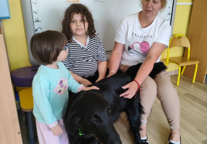Majowe zajęcia z dogoterapii