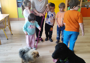 Majowe zajęcia z dogoterapii