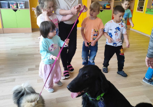 Majowe zajęcia z dogoterapii