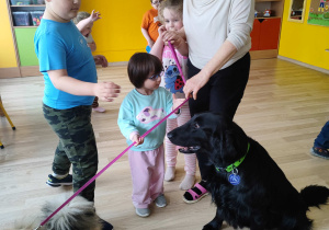 Majowe zajęcia z dogoterapii