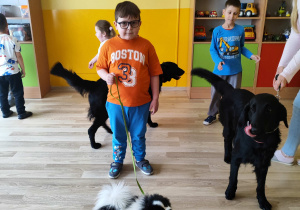 Majowe zajęcia z dogoterapii